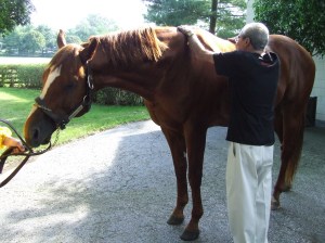 secfest2008-112 Jim says he could leg up right now...all 17 hands up.